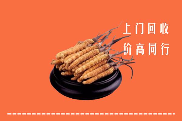 高价求购：大通区回收散虫草