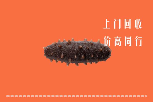 高价求购：大通区回收海参