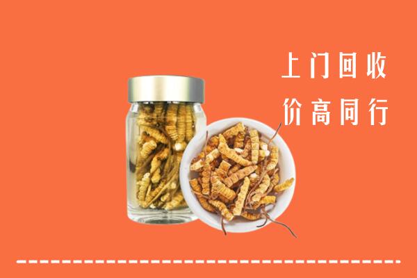 收购行情：大通区回收冬虫夏草