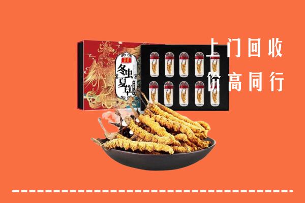 收购行情：大通区回收虫草